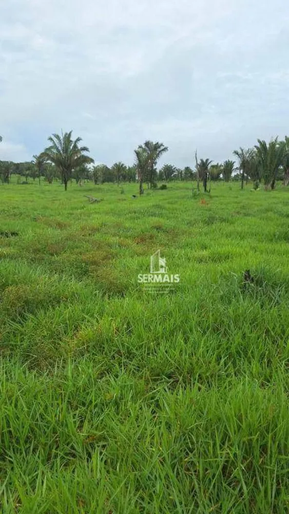Fazenda, 203 hectares - Foto 1
