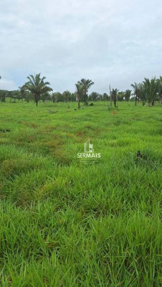 Fazenda, 203 hectares - Foto 2