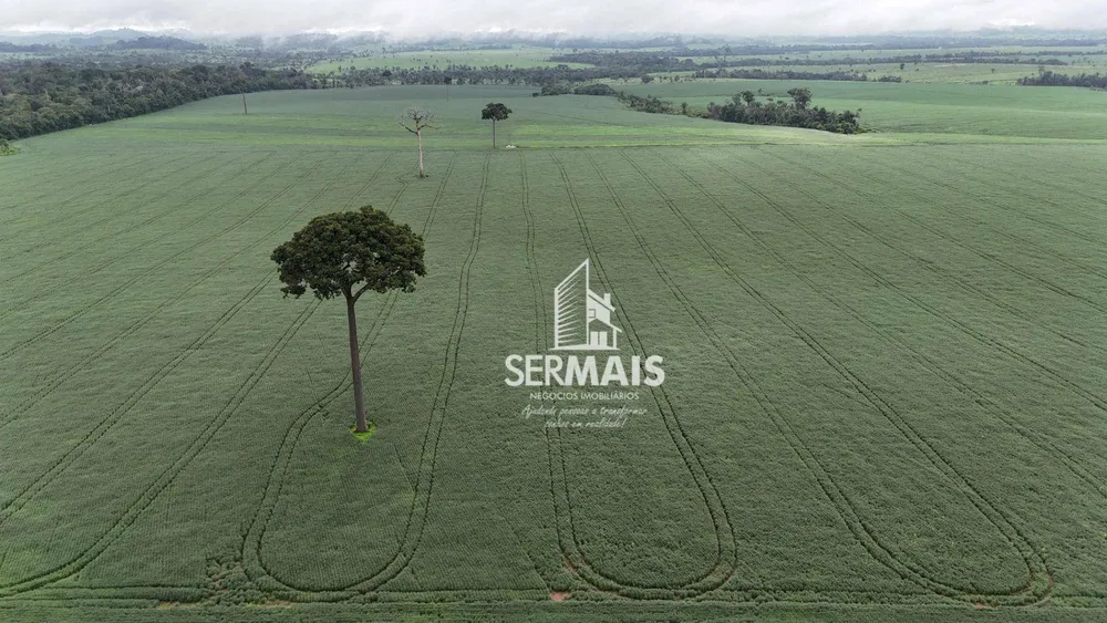 Fazenda, 2050 hectares - Foto 1