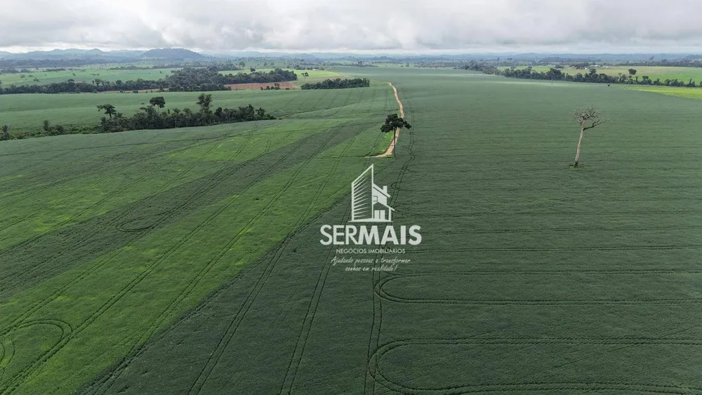 Fazenda, 2050 hectares - Foto 7