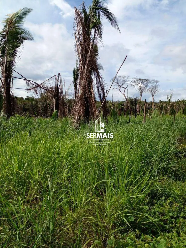 Fazenda, 3500 hectares - Foto 4