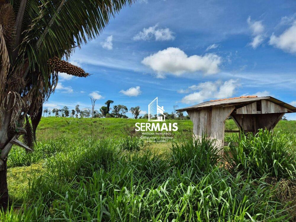 Fazenda, 131 hectares - Foto 4