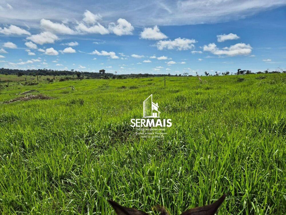 Fazenda, 131 hectares - Foto 1