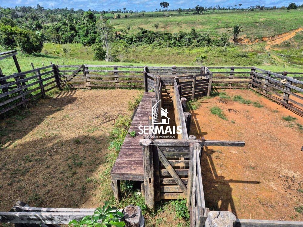 Fazenda, 131 hectares - Foto 3