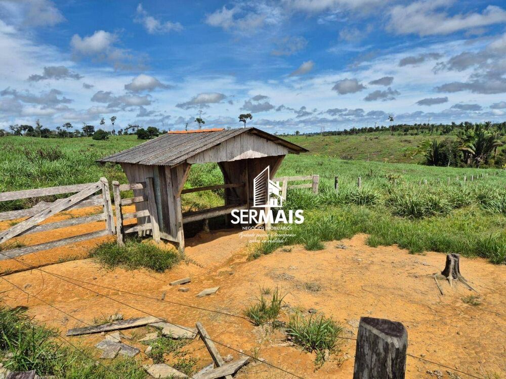 Fazenda, 131 hectares - Foto 2
