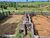Fazenda, 131 hectares - Foto 3