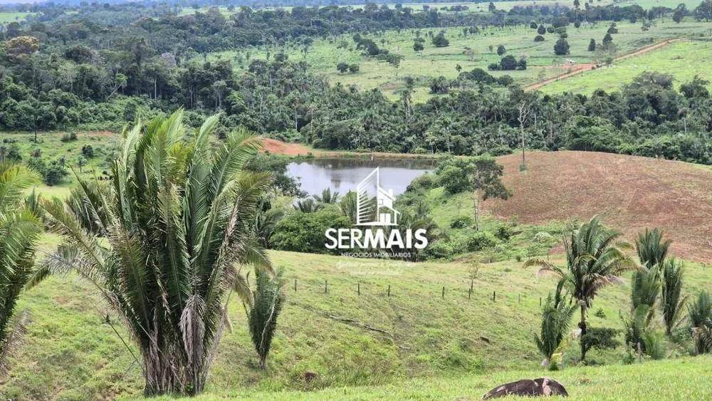 Fazenda, 280 hectares - Foto 7