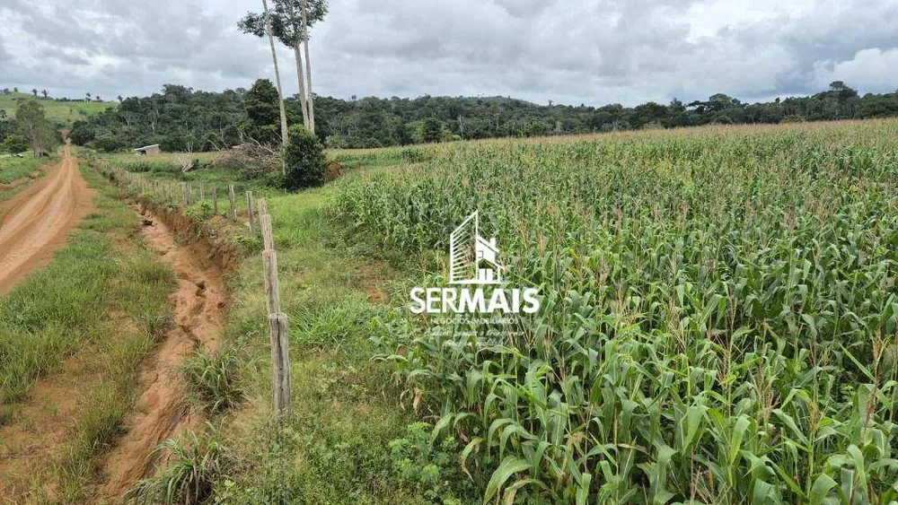 Fazenda, 280 hectares - Foto 11