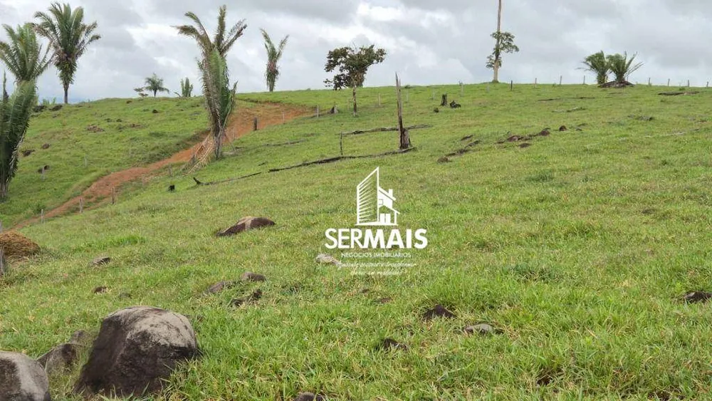 Fazenda, 280 hectares - Foto 10