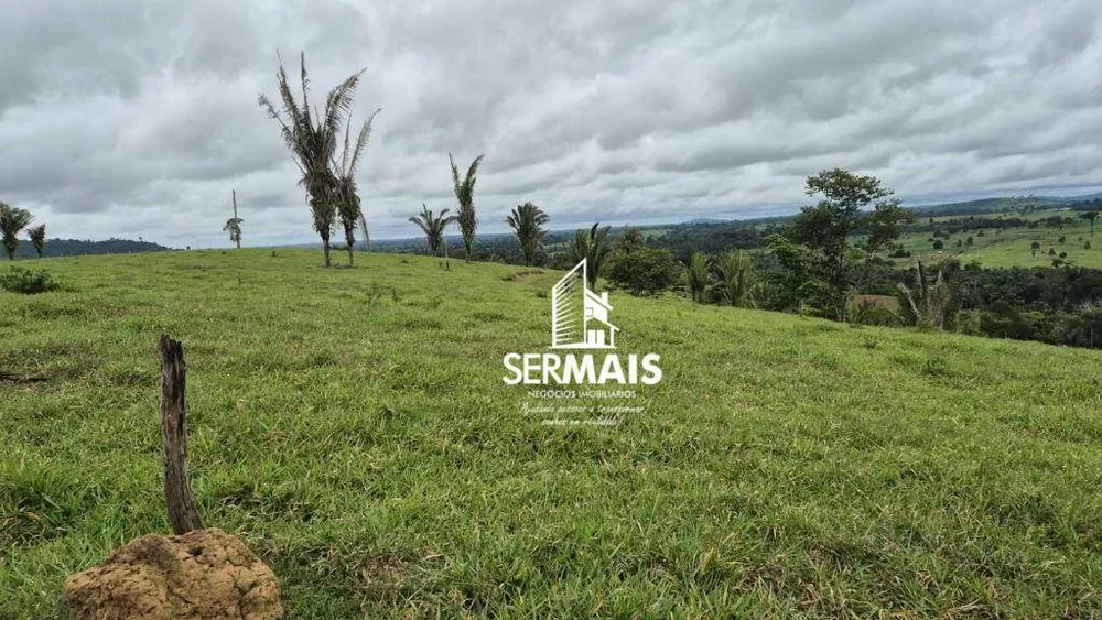 Fazenda, 280 hectares - Foto 9