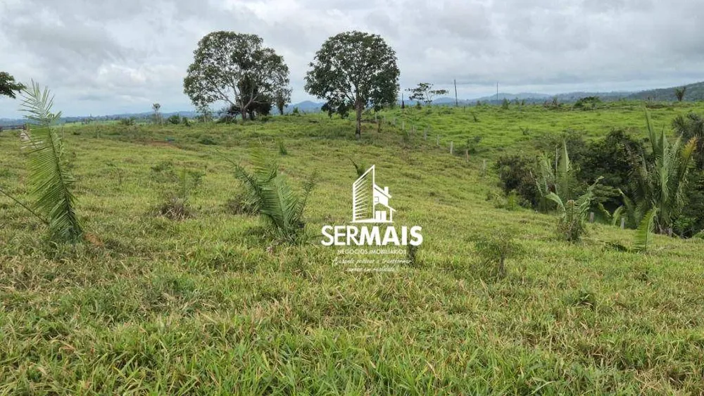 Fazenda, 280 hectares - Foto 6