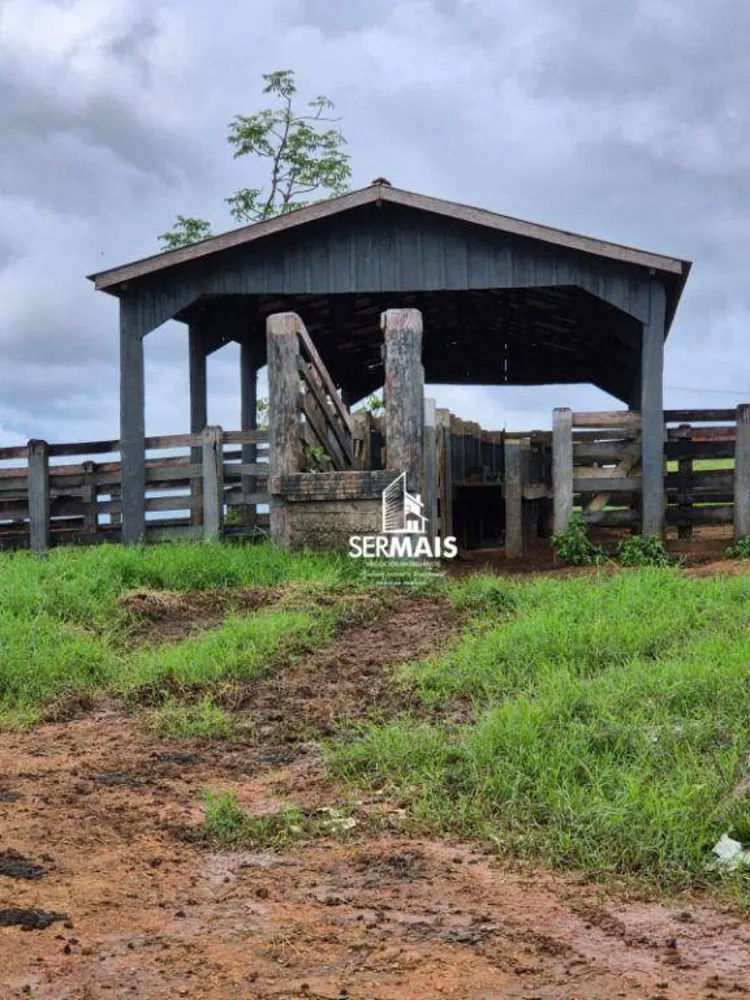 Fazenda, 280 hectares - Foto 15