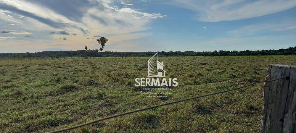 Fazenda, 93 hectares - Foto 6