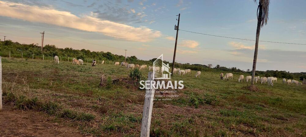 Fazenda, 93 hectares - Foto 1