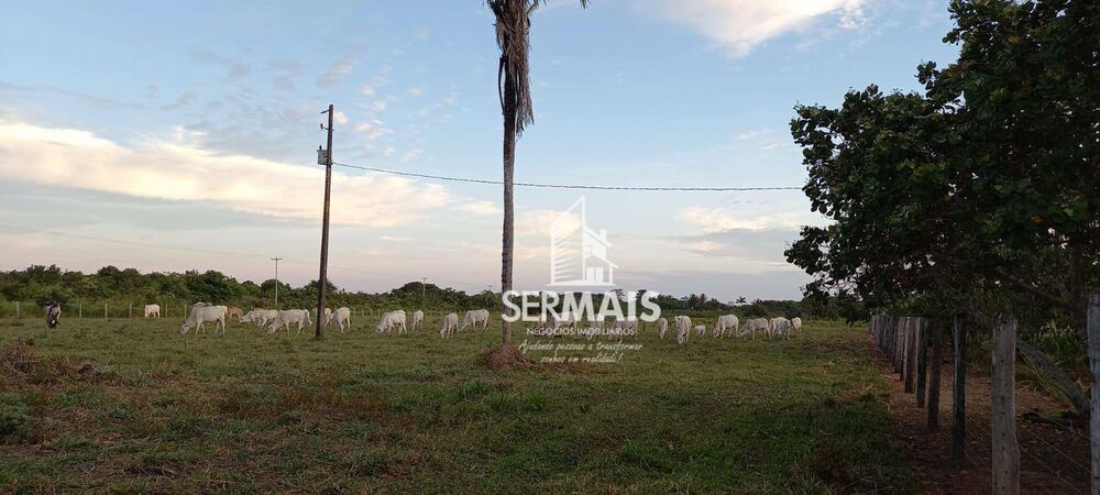 Fazenda, 93 hectares - Foto 12