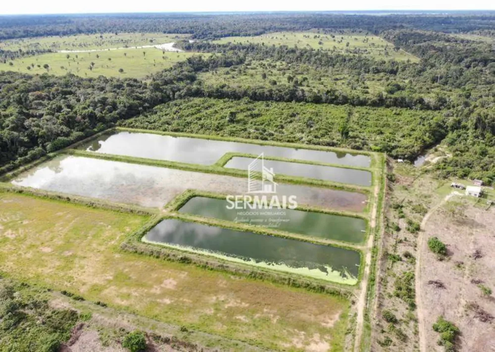 Fazenda, 232 hectares - Foto 10