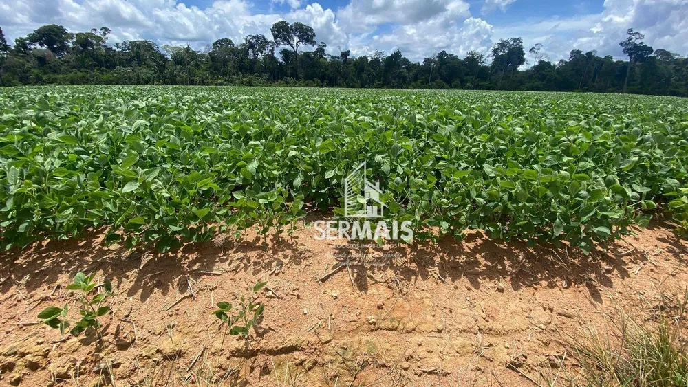 Fazenda, 1000 hectares - Foto 7
