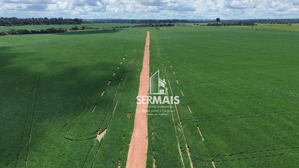 Fazenda, 1000 hectares - Foto 1