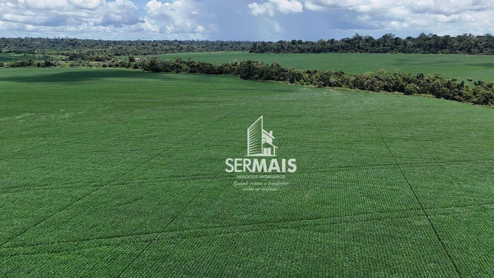 Fazenda, 1000 hectares - Foto 3