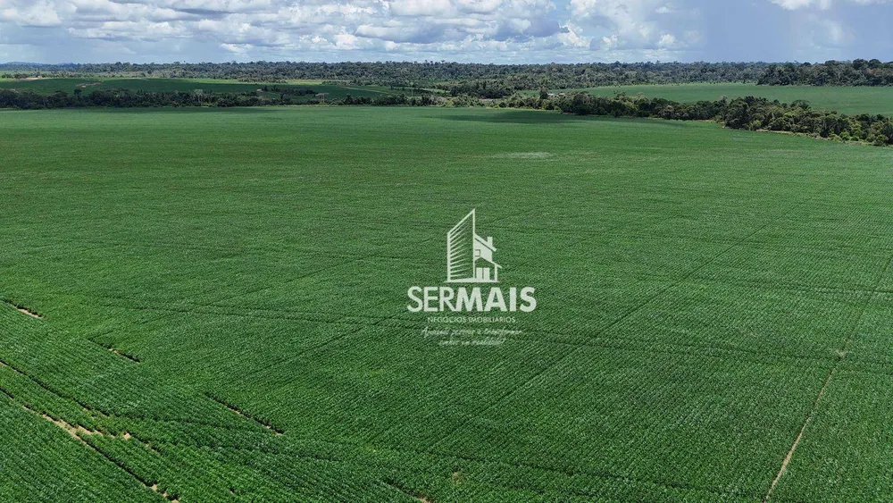 Fazenda, 1000 hectares - Foto 4