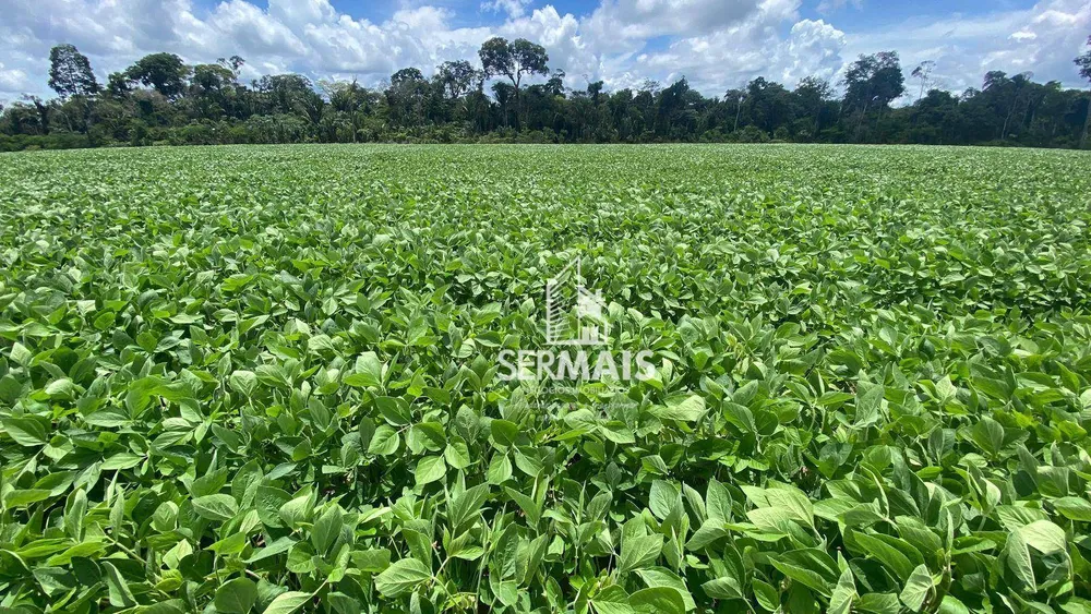 Fazenda, 1000 hectares - Foto 8