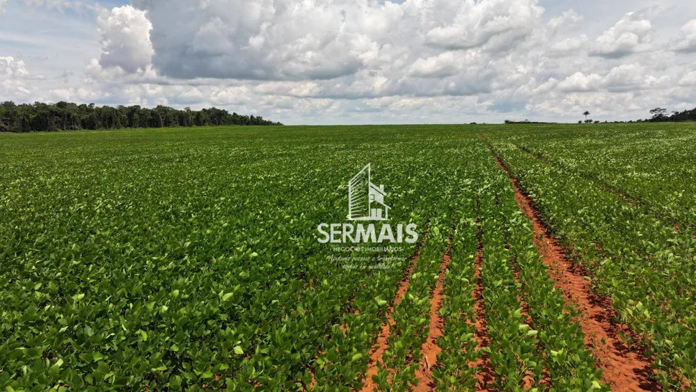 Fazenda, 218 hectares - Foto 4