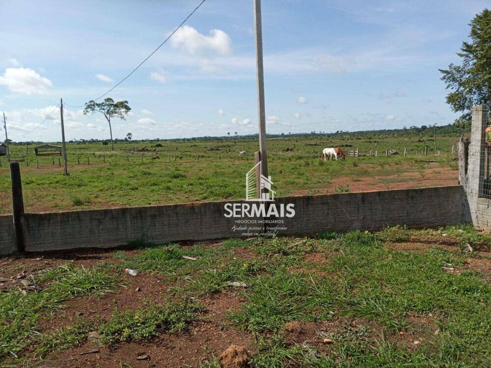 Fazenda, 259 hectares - Foto 3