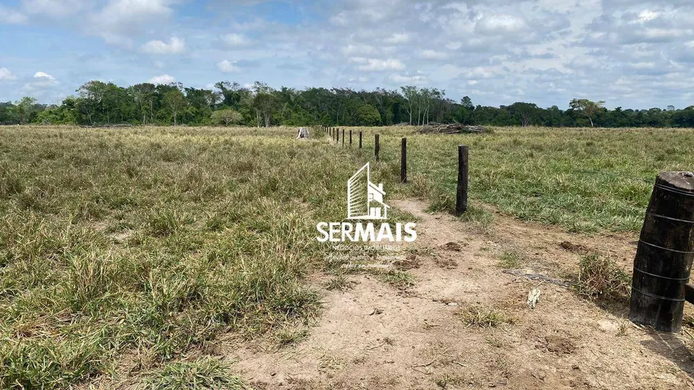 Fazenda, 542 hectares - Foto 6