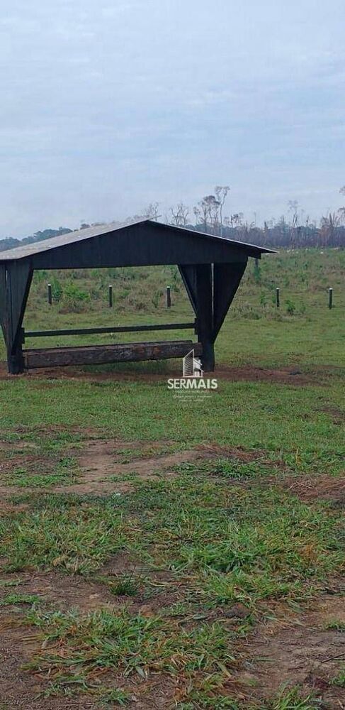Fazenda, 532 hectares - Foto 4
