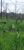 Fazenda, 532 hectares - Foto 2