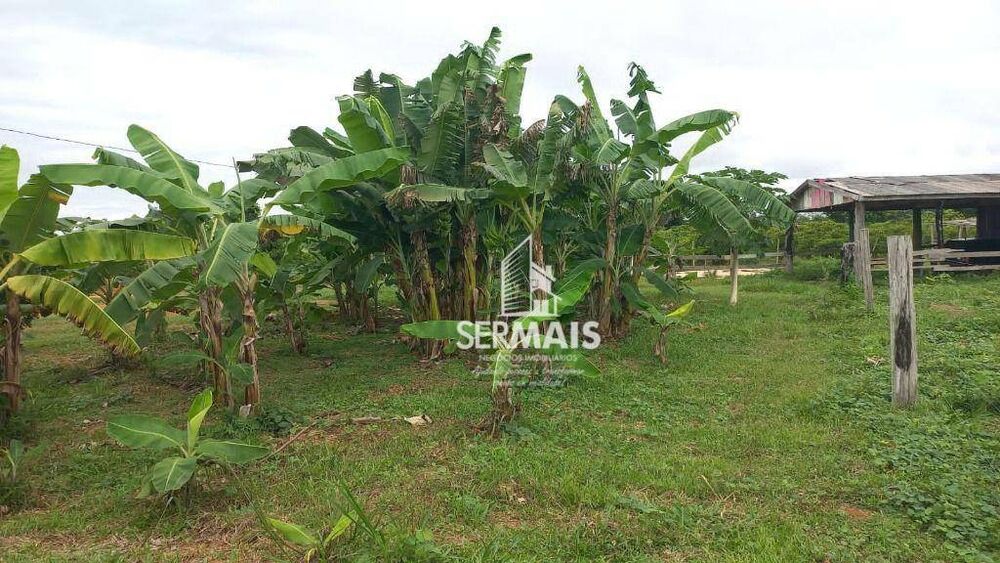 Fazenda, 85 hectares - Foto 10