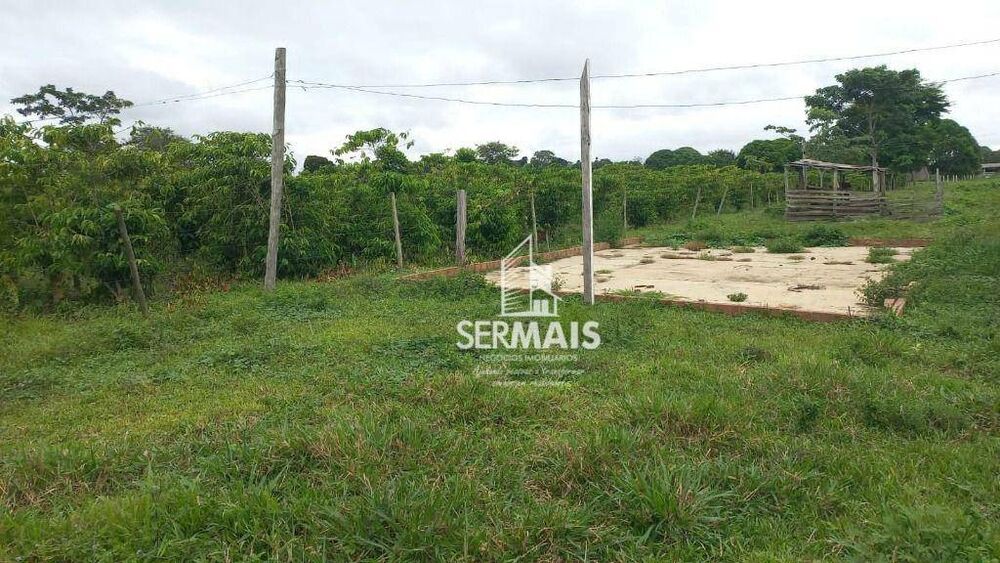 Fazenda, 85 hectares - Foto 7