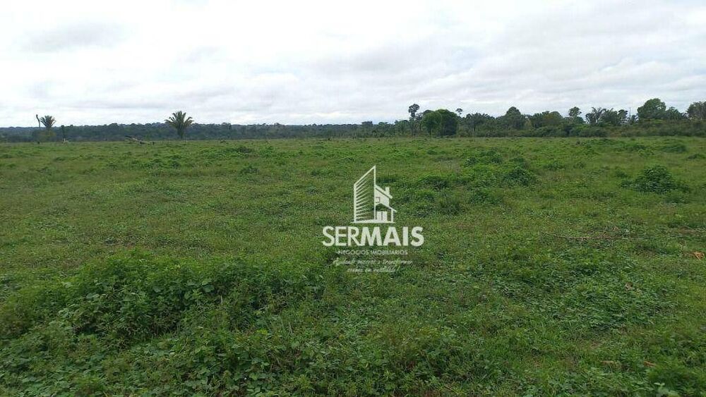 Fazenda, 85 hectares - Foto 2