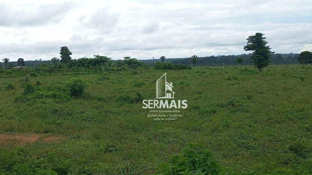 Fazenda, 85 hectares - Foto 14