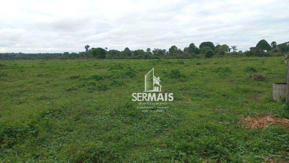 Fazenda, 85 hectares - Foto 4