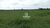 Fazenda, 85 hectares - Foto 3