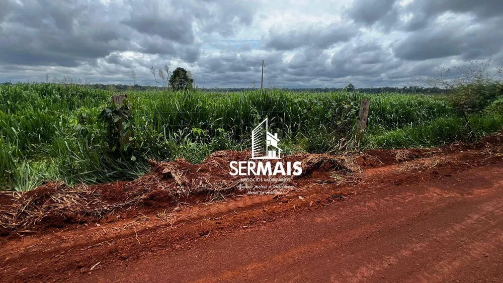 Fazenda, 530 hectares - Foto 3