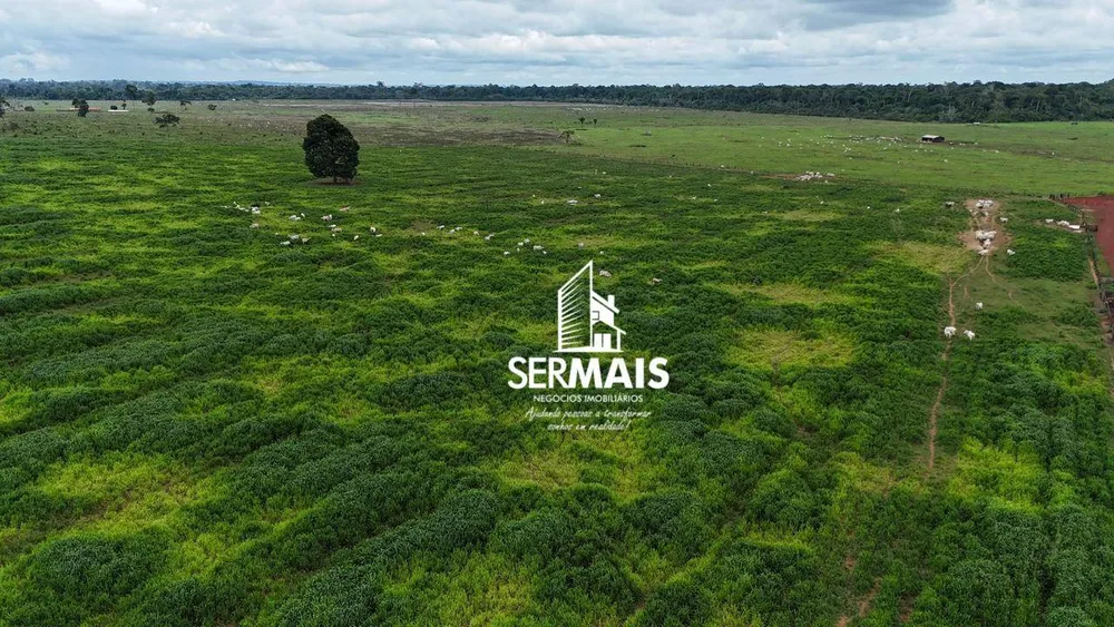 Fazenda, 530 hectares - Foto 1