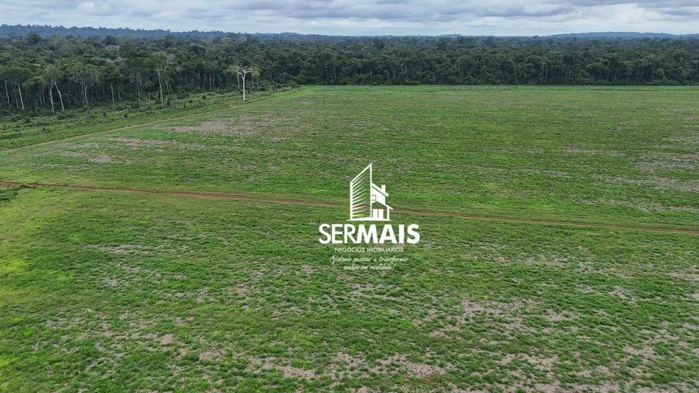 Fazenda, 530 hectares - Foto 7