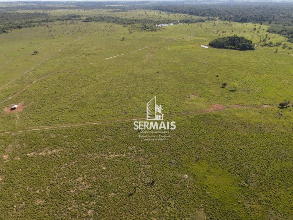 Fazenda, 3098 hectares - Foto 2
