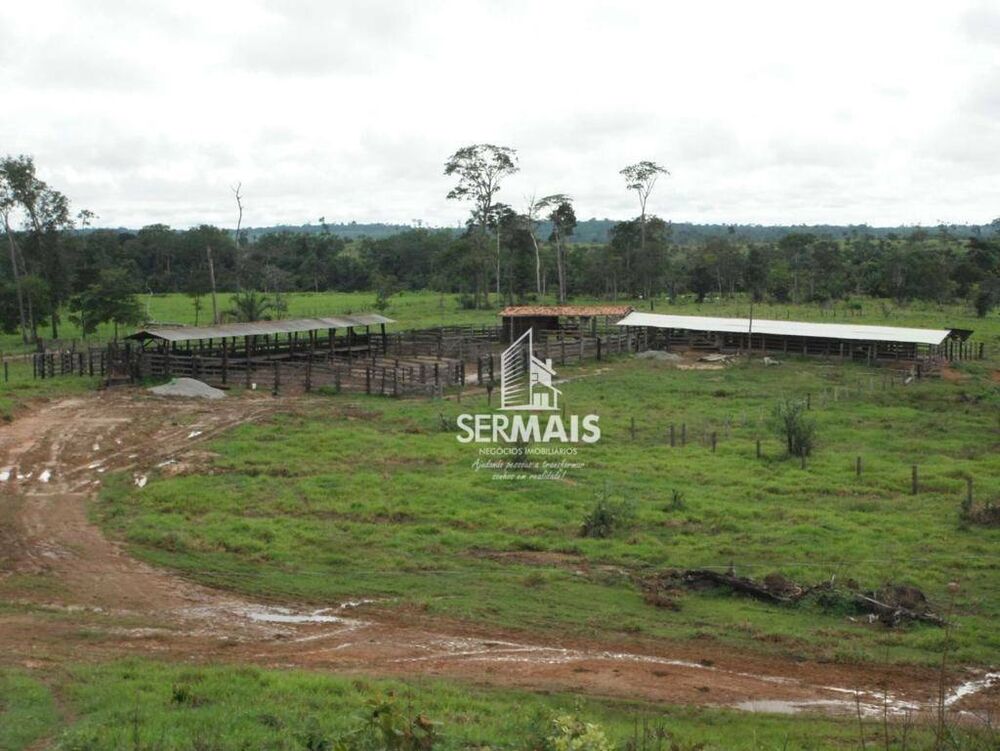 Fazenda, 3098 hectares - Foto 3