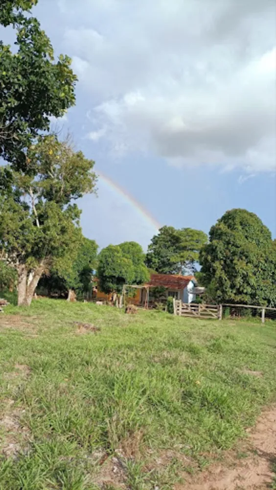 Sítio, 8 quartos, 24 hectares - Foto 3