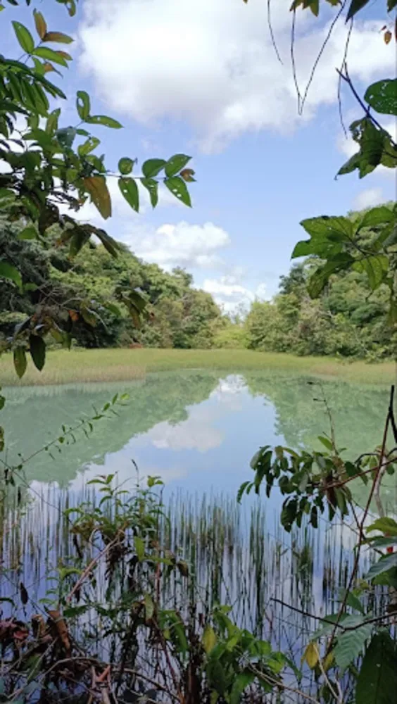 Sítio, 8 quartos, 24 hectares - Foto 4