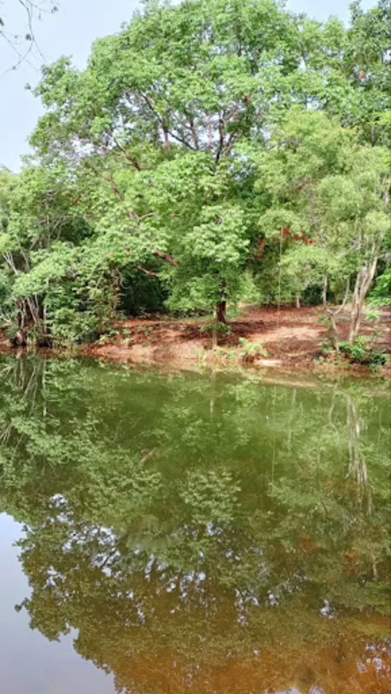Sítio, 8 quartos, 24 hectares - Foto 7