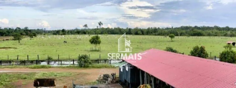 Fazenda, 772 hectares - Foto 3