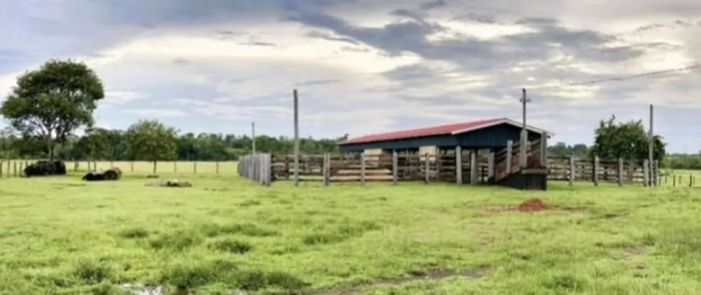 Fazenda, 772 hectares - Foto 6