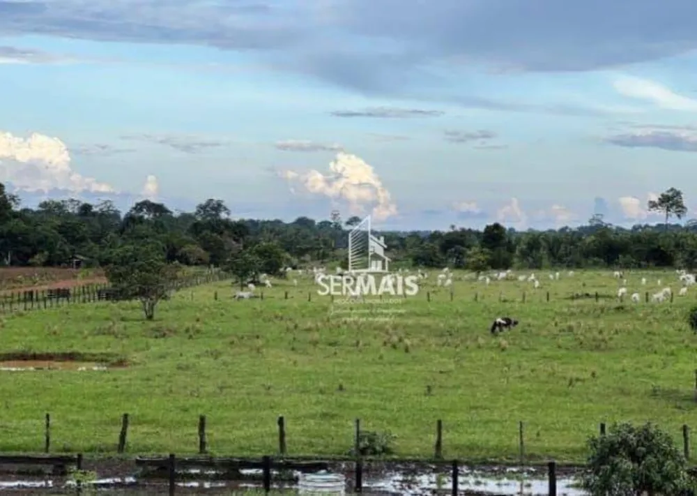 Fazenda, 772 hectares - Foto 2
