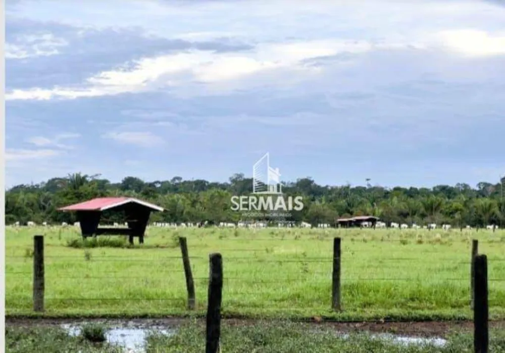 Fazenda, 772 hectares - Foto 3