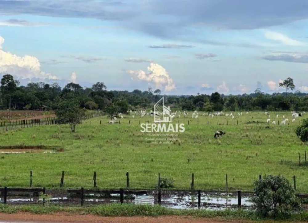 Fazenda, 772 hectares - Foto 11
