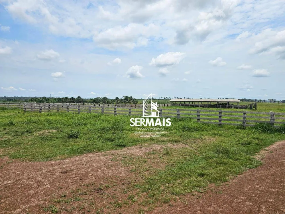 Fazenda, 6077 hectares - Foto 2
